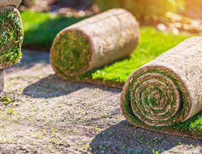 Best SOD Installer Services in Danbury CT
