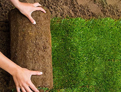SOD Services in Easton CT