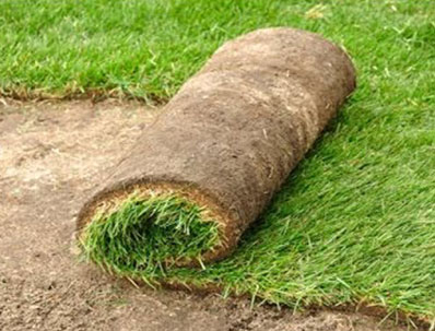 Reliable Lawn Seeding Services in Monroe CT