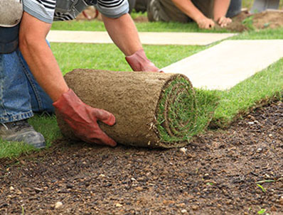 Professional SOD Services in Newtown CT