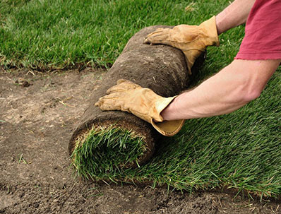 SOD Services in Trumbull CT