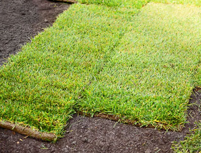 Sod Installation Services in Weston CT