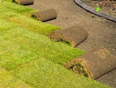 Professional Sod Installation Services In Brookfield CT