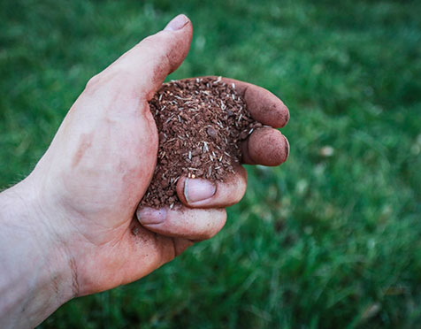 Best SOD Installer Services in Danbury CT