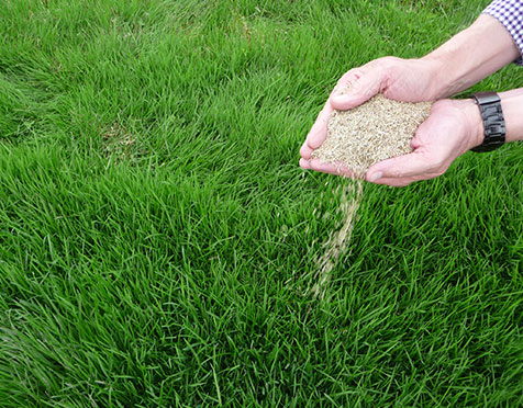 Sod Installation Services in Weston CT