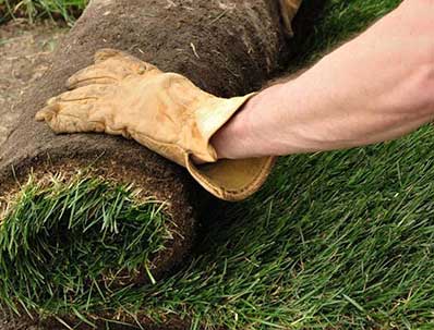 Reliable Stump Removal Services in Hudson FL