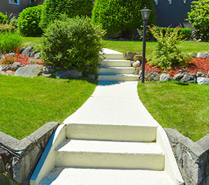 Expert Landscaping Solutions in Murrieta CA